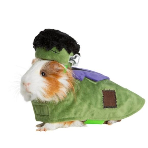 Frankenstein Bride Costume AND Frankenstein - 2! Thrills & Chills™ Small Animal - Picture 6 of 9